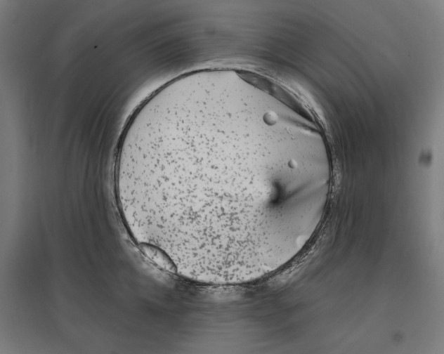 X0000096730952200803041220