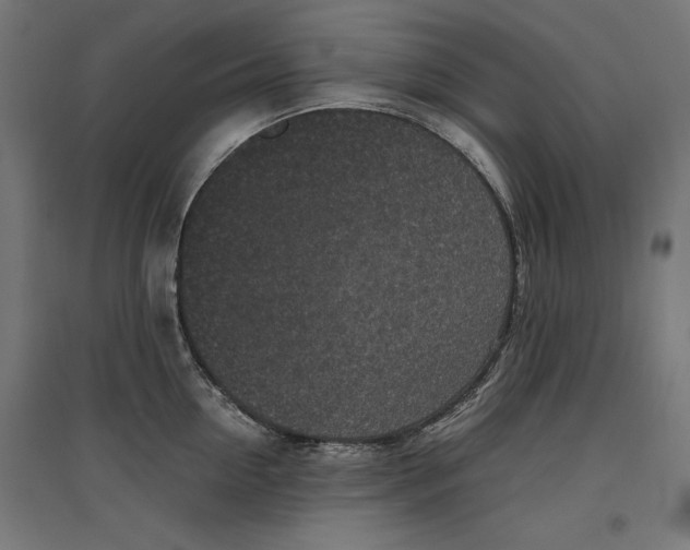 X0000096730954200803041220