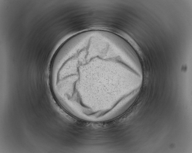 X0000096730955200803041220