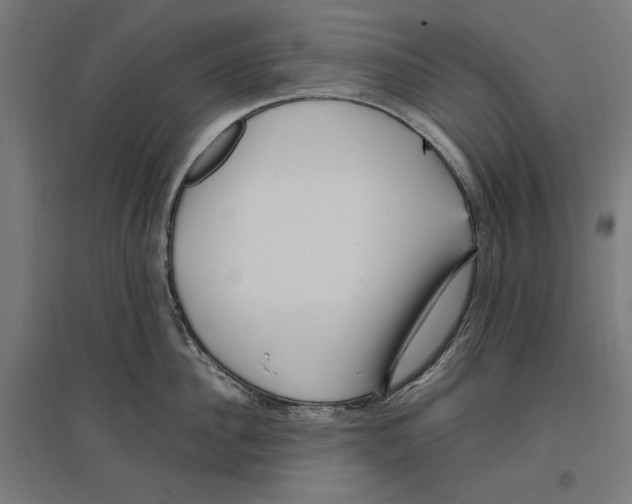 X0000096730956200803041220