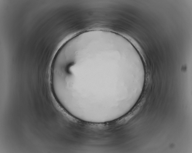 X0000096730957200803041220