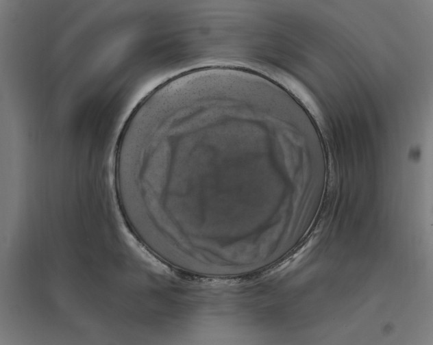 X0000096730958200803041220