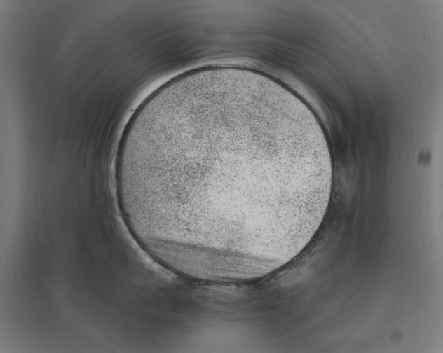 X0000096730959200803041220