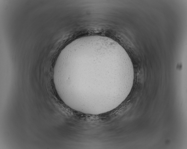 X0000096730961200803041219