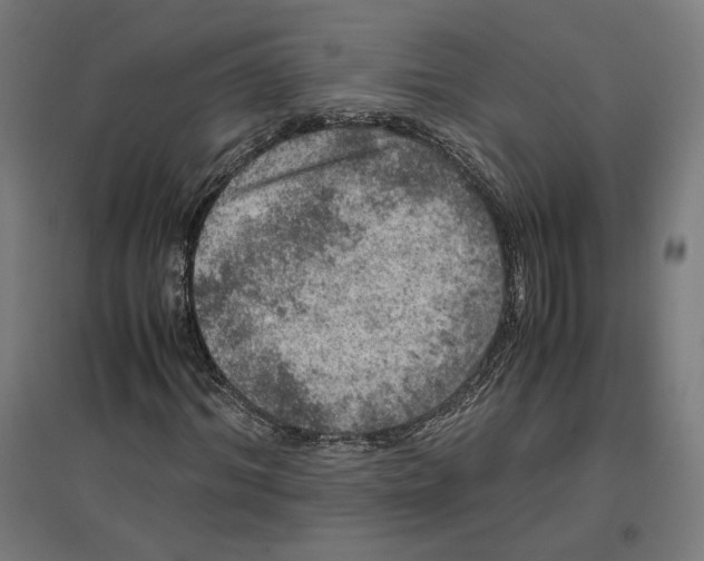 X0000096730964200803041219
