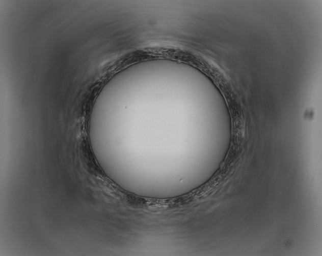 X0000096730965200803041219