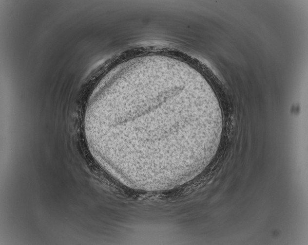 X0000096730967200803041219