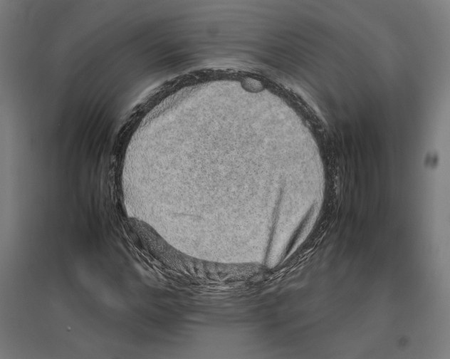 X0000096730968200803041219