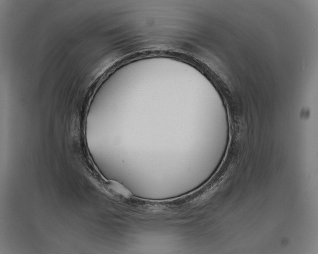 X0000096730969200803041219