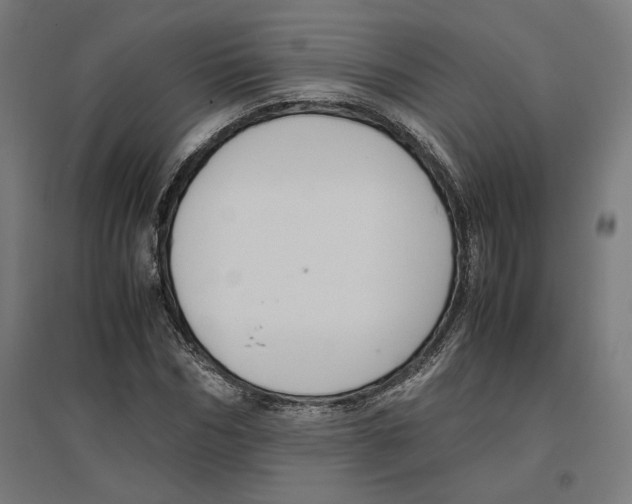 X0000096730970200803041219