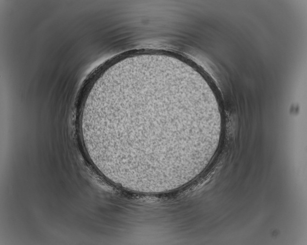 X0000096730971200803041219