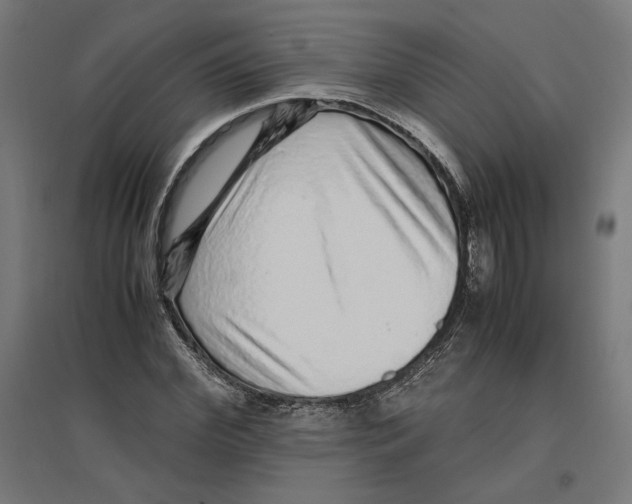 X0000096730972200803041219