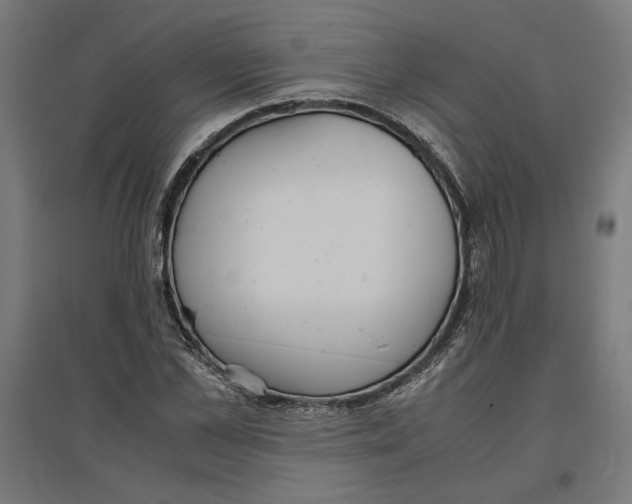 X0000096730973200803041219