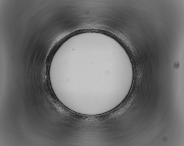 X0000096730974200803041219