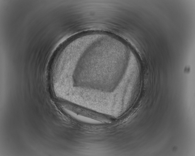 X0000096730975200803041219