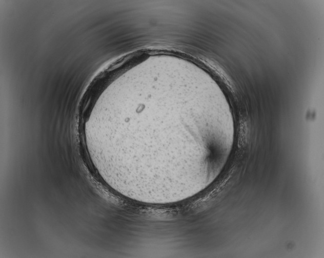 X0000096730976200803041219
