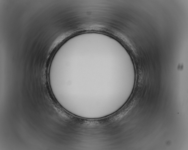 X0000096730978200803041219