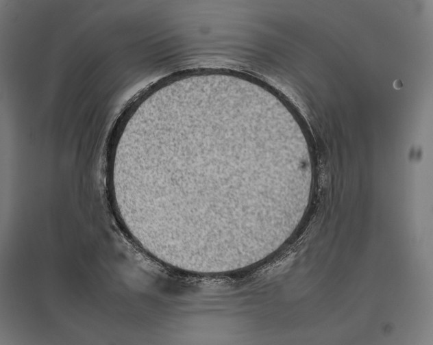 X0000096730979200803041219
