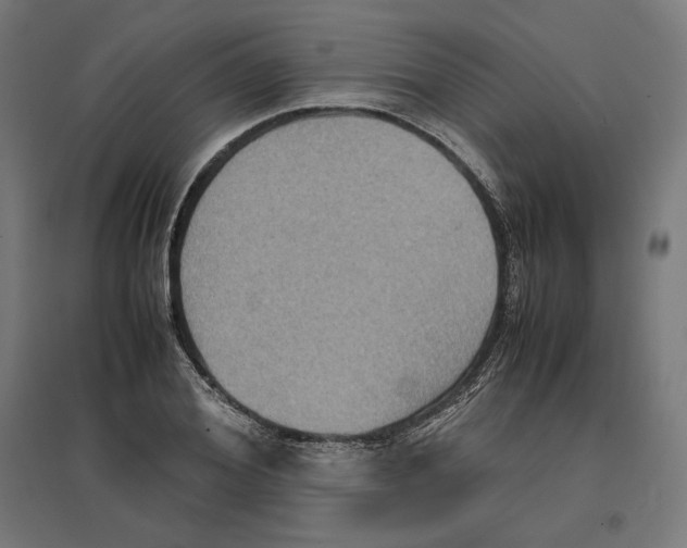 X0000096730980200803041219