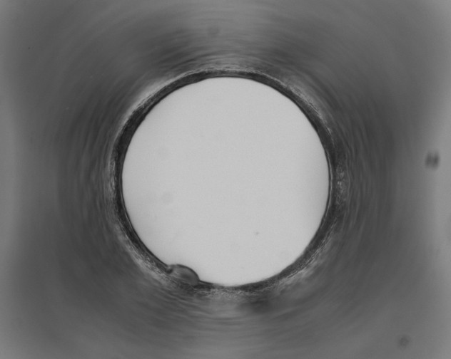 X0000096730981200803041219