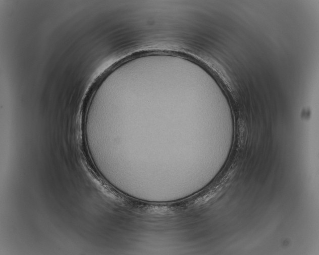 X0000096730982200803041219