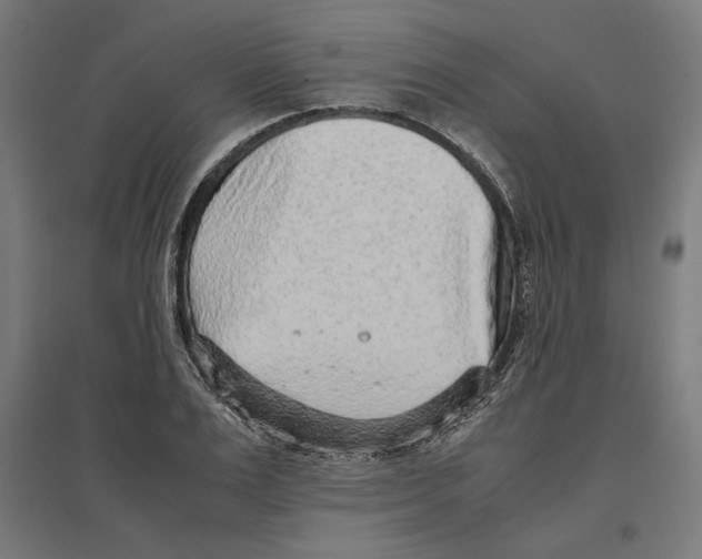 X0000096730983200803041219
