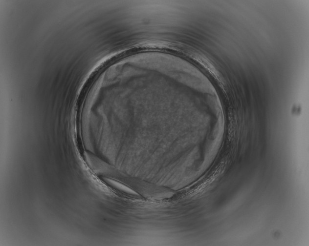 X0000096730984200803041219