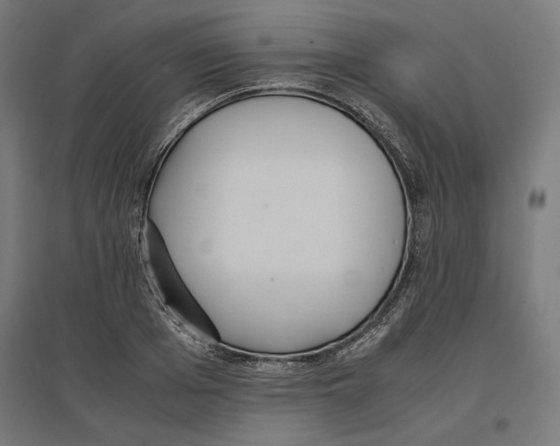 X0000096730985200803041219
