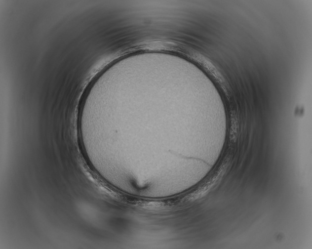 X0000096730986200803041219