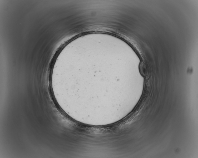 X0000096730987200803041219