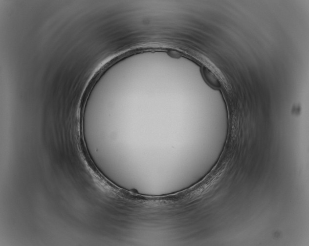 X0000096730988200803041219