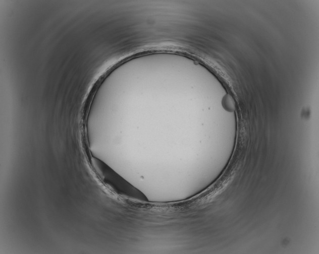 X0000096730989200803041219
