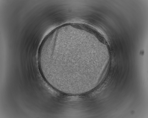 X0000096730990200803041219