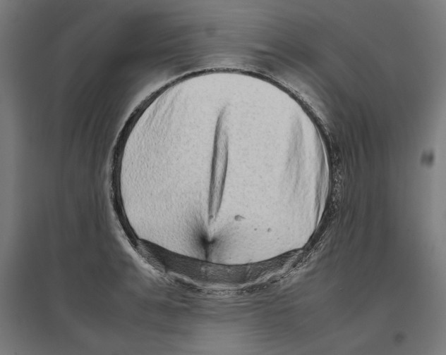 X0000096730991200803041219