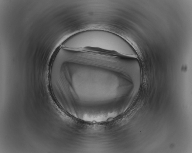 X0000096730992200803041219
