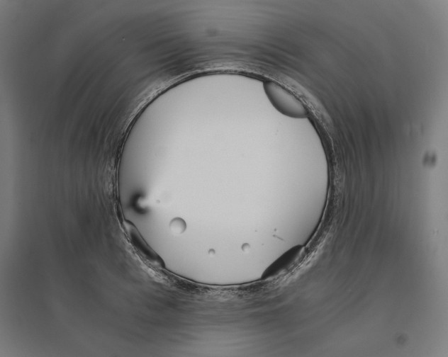 X0000096730993200803041219