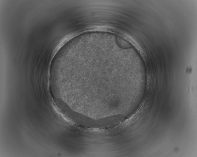 X0000096730994200803041219