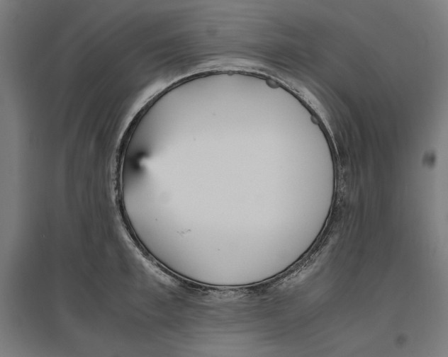 X0000096730997200803041219