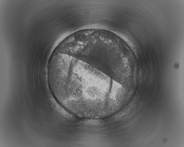 X0000096730998200803041219