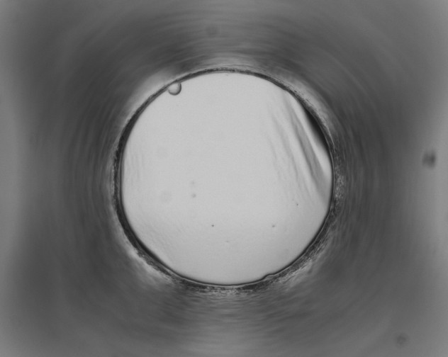 X0000096730999200803041219