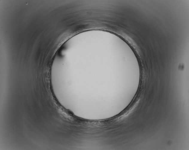 X0000096731001200803041219