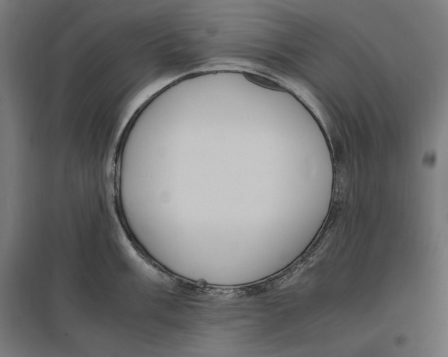 X0000096731003200803041219