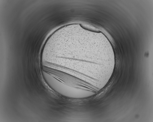 X0000096731004200803041219