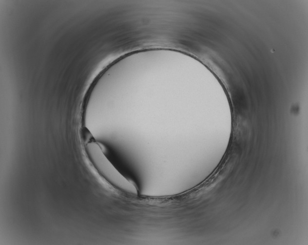 X0000096731005200803041219