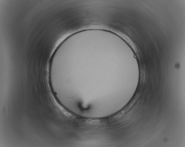 X0000096731006200803041219