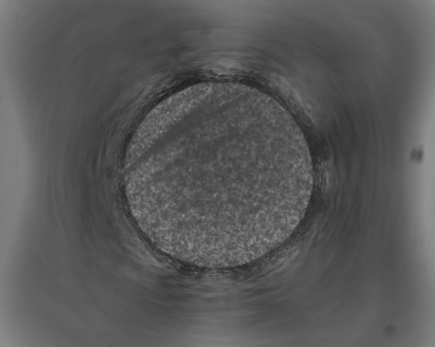 X0000096731009200803041218