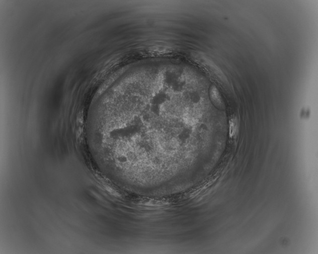 X0000096731011200803041218