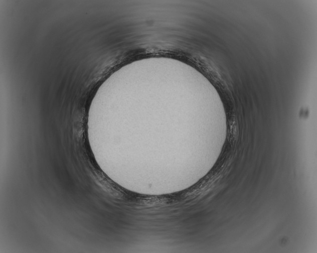 X0000096731012200803041218