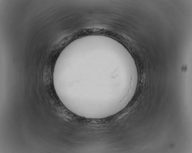 X0000096731014200803041218