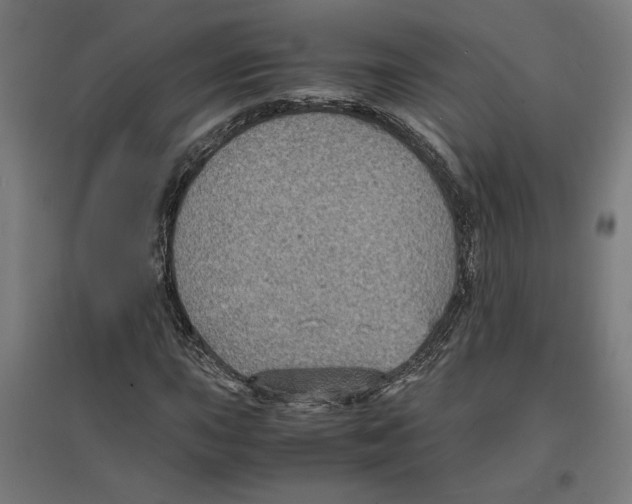 X0000096731015200803041218
